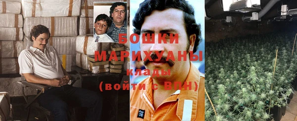 прущие крисы Вязьма