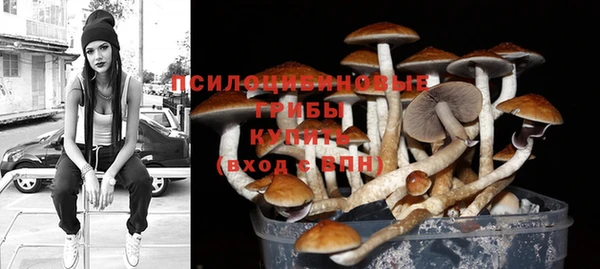 прущие крисы Вязьма