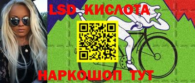 крисы Кулебаки