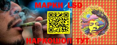 крисы Кулебаки