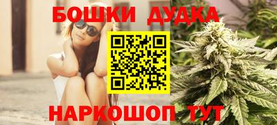 крисы Кулебаки