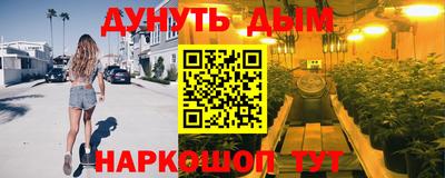 крисы Кулебаки