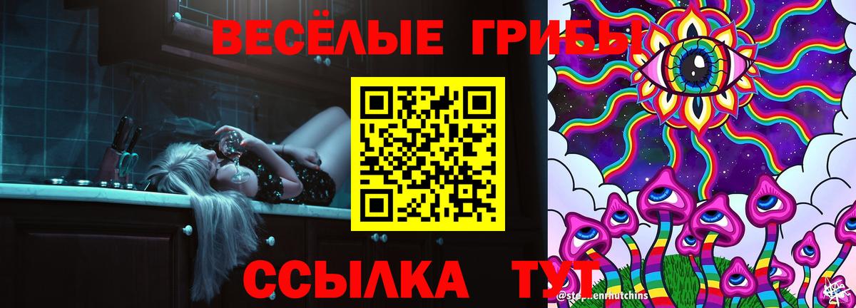 Псилоцибиновые грибы мицелий Дубна
